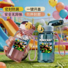 我的世界儿童水杯带吸管上学专用防漏水塑料夏天水杯小学生水杯