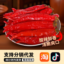 源头工厂邵阳腌酸辣椒湖南酸辣椒腌制红辣椒盐类腌辣椒老式泡辣椒