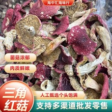 批发大量 干货云南野生三角红菇菌菇日常煲汤香味浓郁