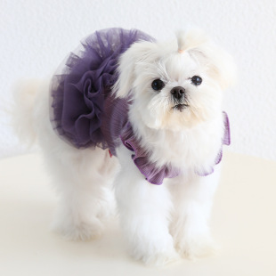 Petstyle ���`�w������ȹ 2025�����¿� ����؈����b���ﹷ��