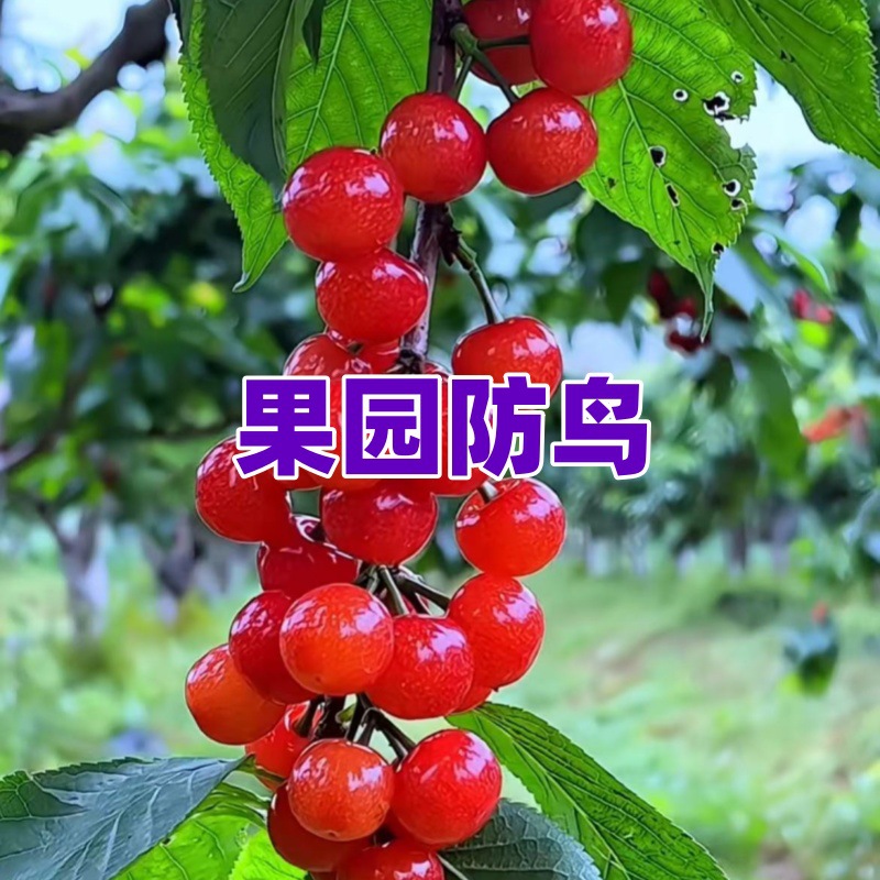 微信图片_20250317134454