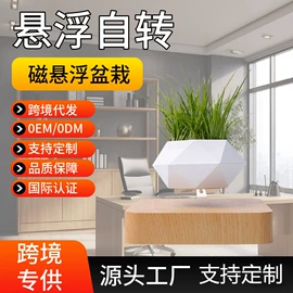 塑料工艺品;其他装饰摆件;教学演示用品