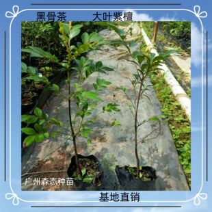 �ڹǲ� ���~��̴ ͥԺ �̨ ���@�Ҿ����� �����辰�Gֲ