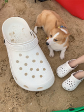 ����ͬ����Ͷ���Ь��ͯ������̖����Ь�냺�����ʹ�����Ь���