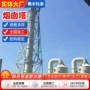 燃烧架构化工烟囱铁塔