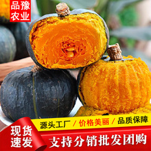 ̳Ʒ|ؐؐϹϰڸзŴr߲ˌoʳһl