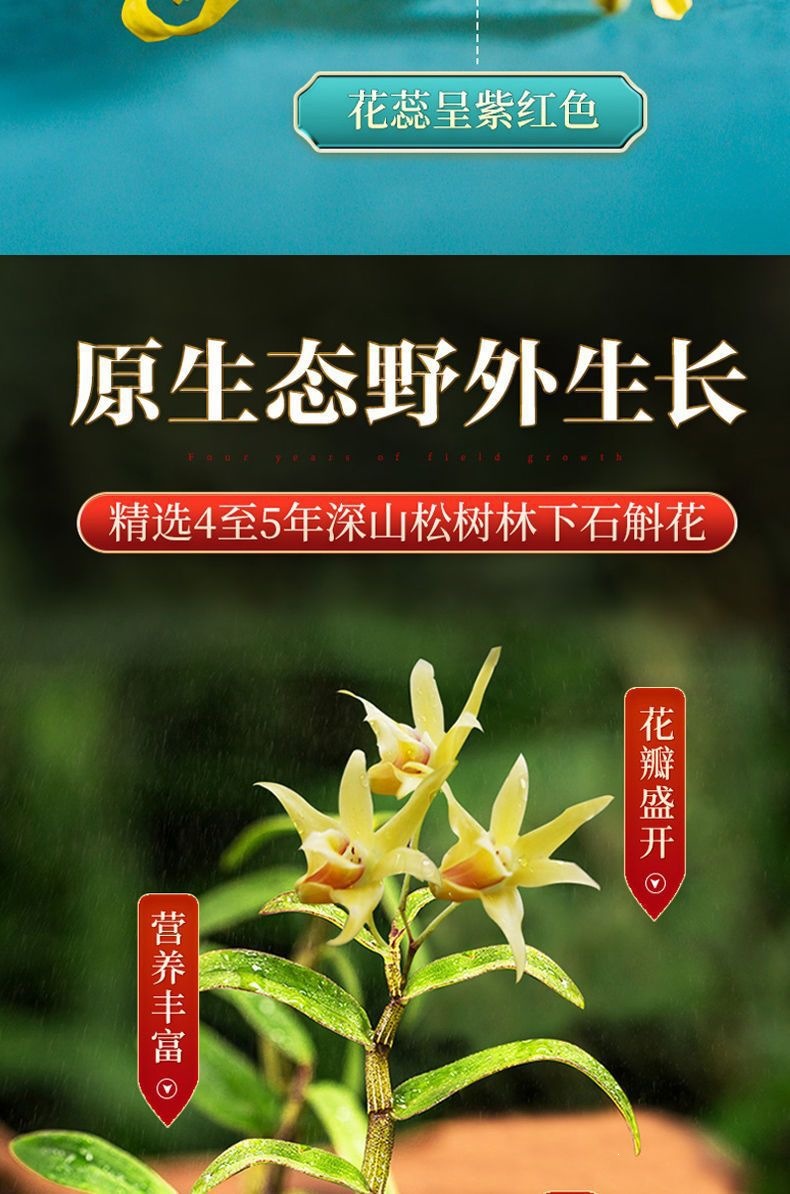 Huo Shan Tie Pi Shi Hu Dried Dendrobium Flowers Herbal Tea 20g Gift Box key features