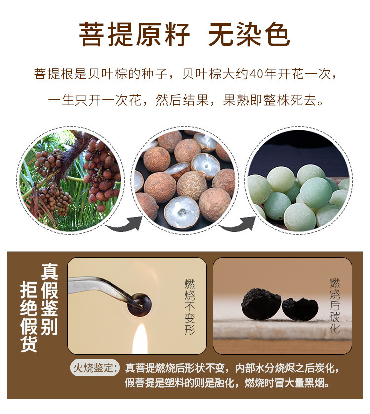 一键复制_20230216145531