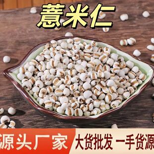 ޲���� ��޲�� ��޲���� ?��޲����  ޲���ʷ� ��ș�����l޲����