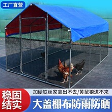 户外鸡棚大型养殖棚特大号家禽养鸭鸡笼鸽笼孔雀防雨家用搭建鸡舍