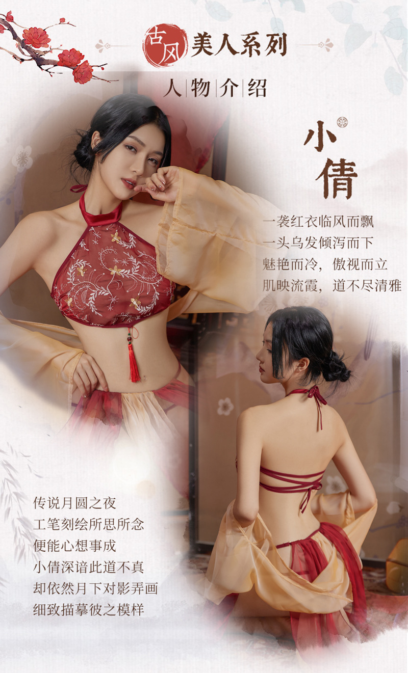 Hanfu-Inspired Palace Costume Set with Bellyband, Shawl, Gauze Skirt and Thong, Plus Size — detail image 3