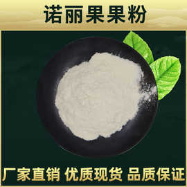 诺丽果果粉 林洲生物 喷雾干燥 果蔬代餐粉 水溶 诺丽果果汁粉