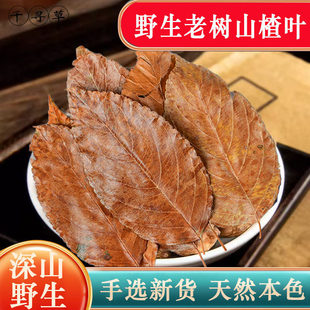 �V��ɽ��~Ұ��ɽ��~��ș�ľ��xɽ��~��ɽ��~�Ĺ�Ч