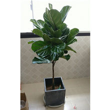 ���~�Ŵ��~���Կ͏d���W����ֲ�����������Ȥζ�҃��Ϙ��^�~�Gֲ