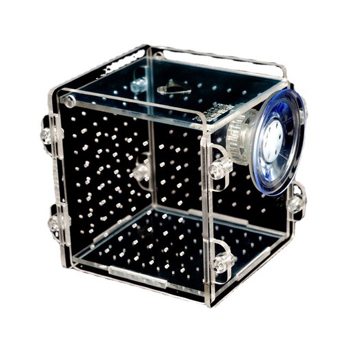 Fish tank breeding box, acrylic isolation box, fry isolation box, fish tank isolation box 8*8*8.8