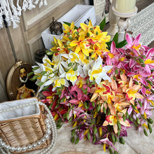 С����ޥ�m�����˹��ٻ��������������ϻ��߼��п͏d�[����c��ˇ