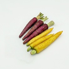 产地直发新鲜现挖黄色紫色胡萝卜双拼脆嫩可生吃凉拌炒菜一件代发