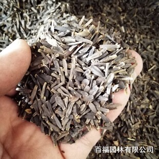 �a�����lС�����N�Ӵ������N���ļ��׻�N��ͥԺ���@�������N