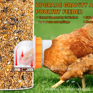 DIY Portable Chicken and Duck Feeder Orange Flower Chicken Feeder Poultry Feeder Slotting