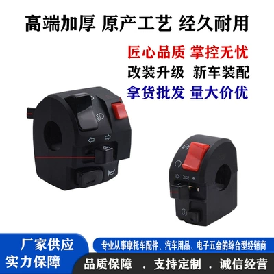 Handlebar Switch, Horn, and Dual – Motorcycle Control System Parts