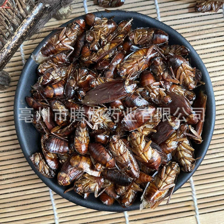 Оригинальные товары все-сухой таракан китайская травяная медицина все виды насекомых оптом пресная вода свежие товары продаются отдельно многоножка сушеный Скорпион сушеный