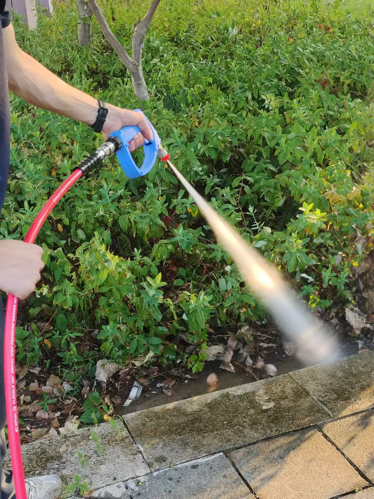 微信图片_20240911171725