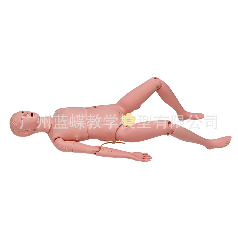 ���廤����ѵ ��Ů����ҽѧ ��ʿ������ѵ ��ɩ����֪ʶ����ģ��