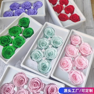 �������^5-6cm����õ�廨�^A������Ʒ�|���b�F؛ĸ�H��õ��Y��