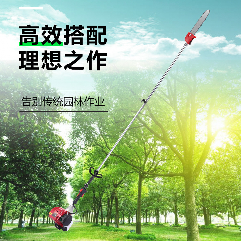 主图3