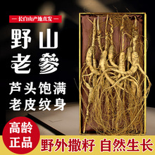 人参长白山野山参20年东北林下参山参礼盒野生人参整枝干货泡酒包