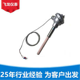 铂铑30-铂铑6热电偶 分度号B型贵金属测高温1600度可选法兰/螺纹
