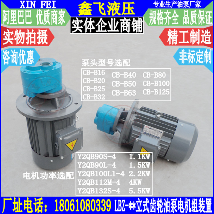 CB-B系列立式齿轮油泵电机组合装置Y2QBL00L1-4-CB-B63 YZQB90L