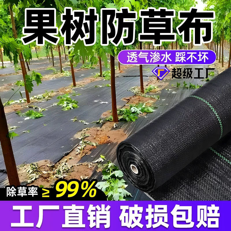 批发防草布果园黑色除草布家用果树加厚防草布生态地布打孔布成品