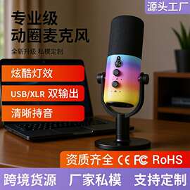 私模电脑麦克风话筒RGB动圈麦XLR/USB双接口录音游戏直播电竞麦
