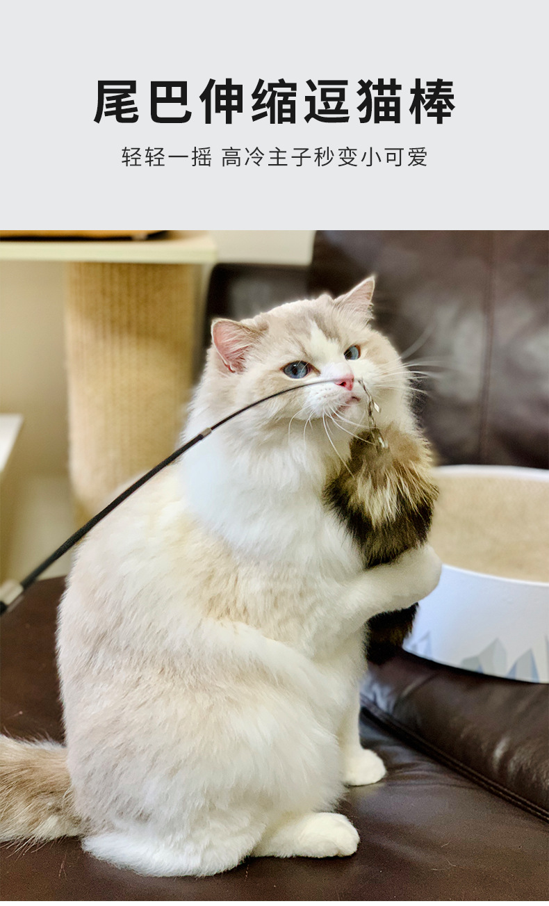 黑色逗猫棒改_01.png