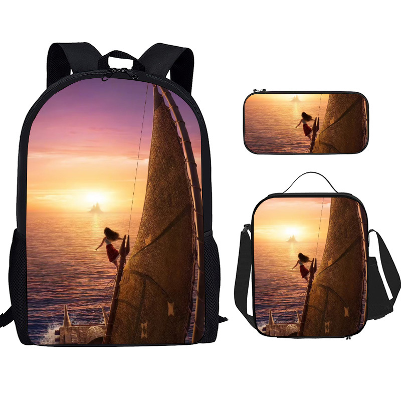 16.3inch 개 세트 5