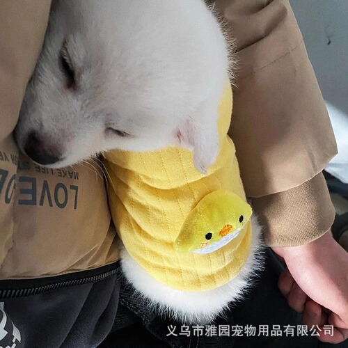 Baby clothes for tiny kittens, puppies, and dogs including teddy bears, teacup dogs, newborns, and one-month-old pets. Suitable for autumn and winter.