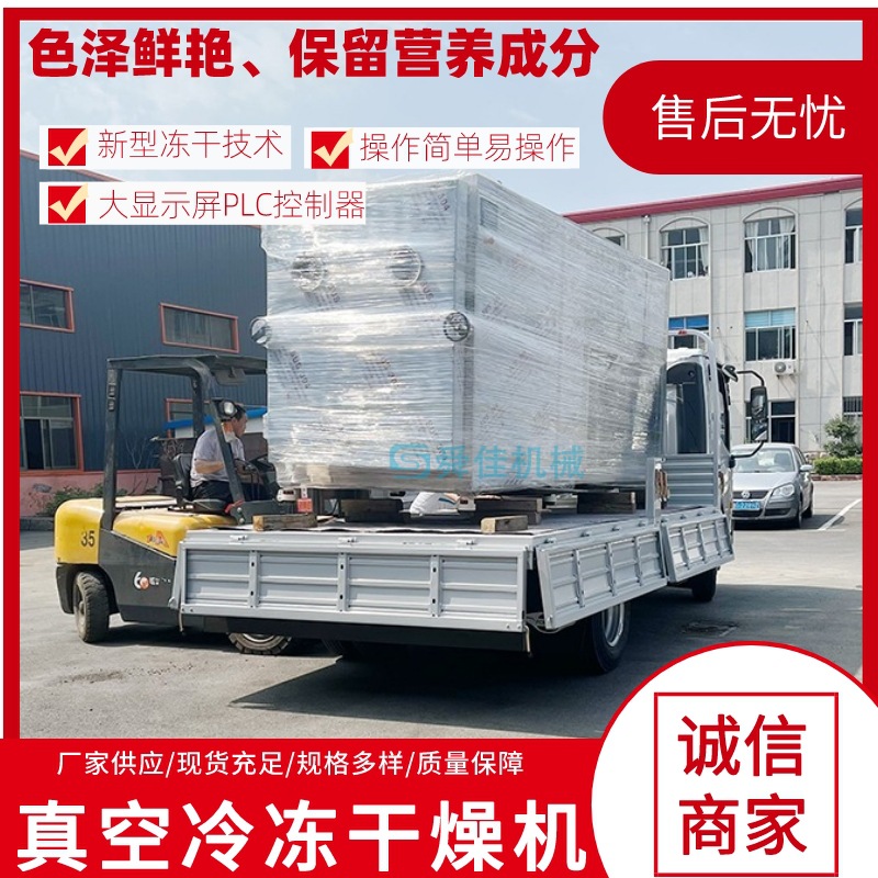 多春鱼南极磷虾真空冻干机 苹果脆片水果低温脱水干燥机