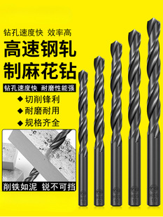 4341 Tiangong High-Speed Steel Straight Shank Twist Drill Bit