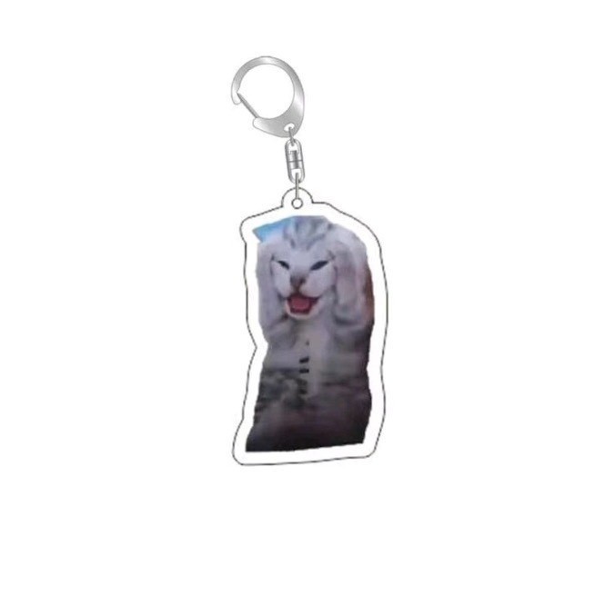 Colgar adornos Amazon popularidad en línea gatos gatos acrílicos llaveros escultura de arena interesante memes gatos gatos pequeños