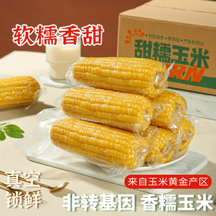 �|���L��ɽ�SŴ��������r���׮���������Ŵ���װ��������װ���