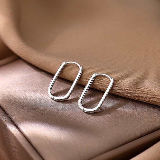 New Oval Earrings for Women, Versatile and Stylish, High-End Niche Design, Light Luxury Earrings, Direct from the Manufacturer