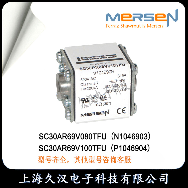罗兰SC30AR69V080TFU/N1046903 SC30AR69V100TFU/P1046904熔断器