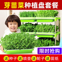 小豆苗 小豆苗品牌 图片 价格 小豆苗批发 阿里巴巴