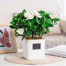 �d�ӻ����������Ի����҃ȾGֲ�ļ�������B�Gֲ�����՚��_��