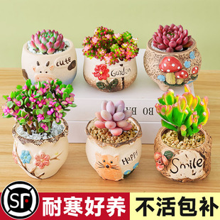 ����ֲ����w���B�����҃����k�����������ֲ���ҵ�������}����