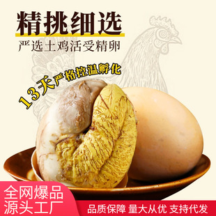 ���r���������l13������u�ߵ��u����հ��b�_����ʳ���������