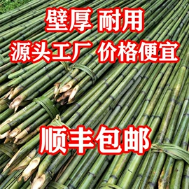 竹木藤苇干草;篱笆/栅栏;园艺护栏