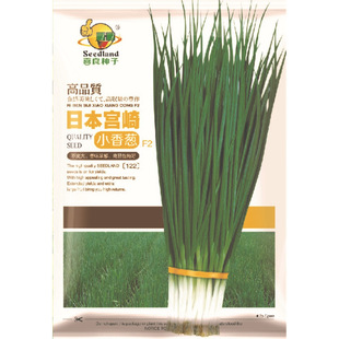 Shenzhen Xiliang Seed Co., Ltd. Direct Sales Wholesale and Retail Base Vegetable Seeds Miyazaki Chives