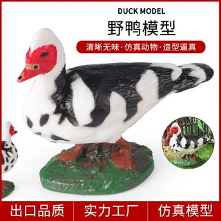 儿童科教玩具仿真动物实心模型家禽野鸭鸡鹅鸭模型场景认知摆件